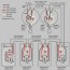light switch wiring diagram for android