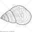 sea shell coloring vector photo free