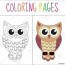 coloring book page owl sketch and color