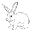 baby rabbit coloring page free