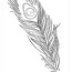peacock feather coloring pages free