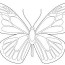 butterfly coloring page printables