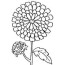 carnation flower bouquet coloring page