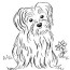 puppy coloring page art starts