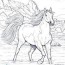 american quarter horse coloring page