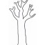tree life cycle coloring pages