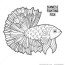 coloring book siamese fighting fish