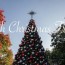 oh christmas tree o tannenbaum