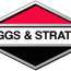 briggs stratton offering promotional