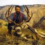 elk hunt deer hunt colorado private