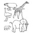 wild animals coloring pages
