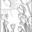 printable spring coloring pages parents