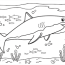 printable great white shark coloring page