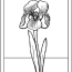 iris spring flowers coloring pages ai