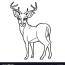 cartoon cute deer coloring page royalty