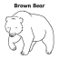 10 best brown bear brown bear