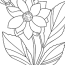 flowers coloring pages printable for