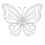 simple butterfly coloring pages free
