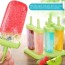 set of 6 popsicle makers with sticks