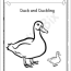 baby duckling coloring page