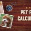 dog food calculator cat food