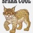 spark cool cats coloring book national