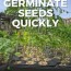 thermometer for seed germination
