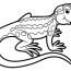 lizard coloring pages 100 pictures