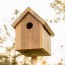 easy diy birdhouse plans step by step