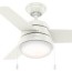 led indoor ceiling fan with light
