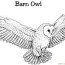 burn owl coloring page for kids free