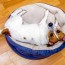 16 diy dog bed designs custom build a