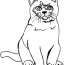 10 free printable cat coloring pages