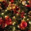 christmas tree 4 free stock photos