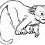 monkey color sheet 1000 images about