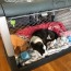 crate training your puppy at night
