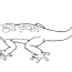 printable lizard coloring pages for kids