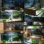 sho compact fluorescent aquarium