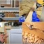 12 simple woodworking jigs every