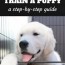 how to crate train a puppy day night