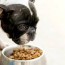 how to switch dog food gradually