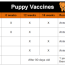 canine vaccines veterinarian in