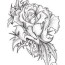 coloring pages of roses with banners