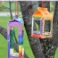 birdhouse crafts for kids craft