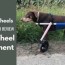 dog wheelchair walkin wheels front