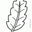 coloring page palm leaf high quality