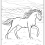 40 horse coloring pages 100 free