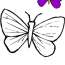 butterfly coloring pages the largest