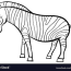 zebra cartoon character coloring page