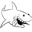 shark coloring pages free printable